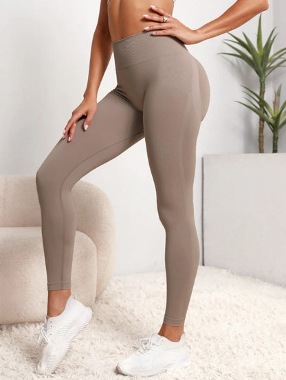 SILKSHAPES TUMMY CONTROL LEGGINGS
